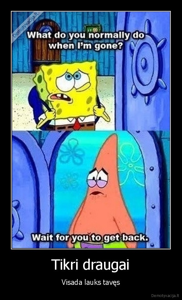 draugai, kempiniukas