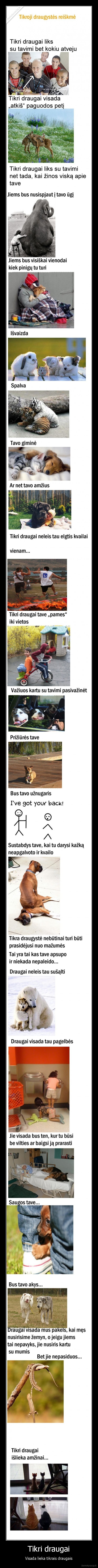 ble,kazkas, ikrito, i, aki