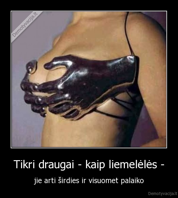 liemeneles,draugai,palaiko,draugyste