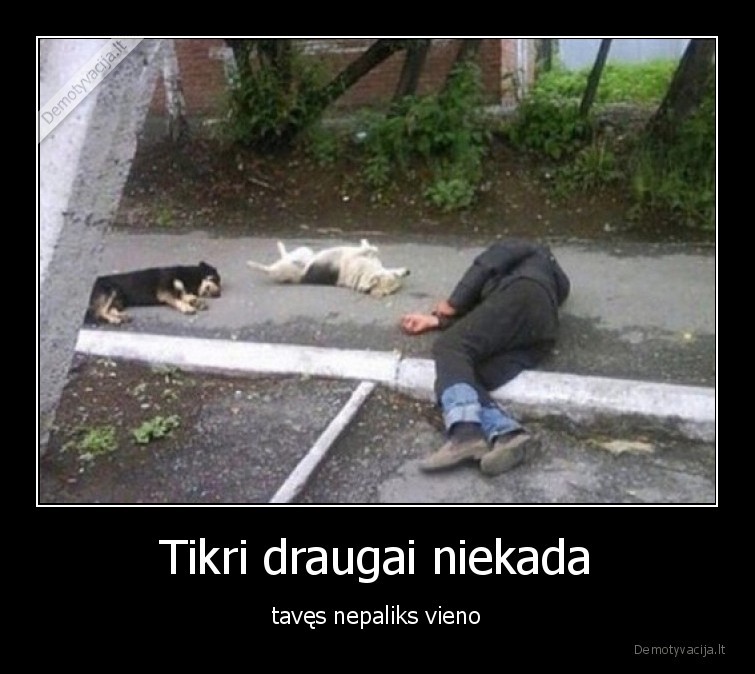 draugai,alkoholikas,sunys,nepaliks