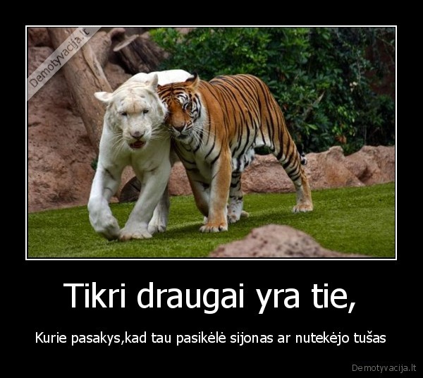 olee, ole, ole, oleeee