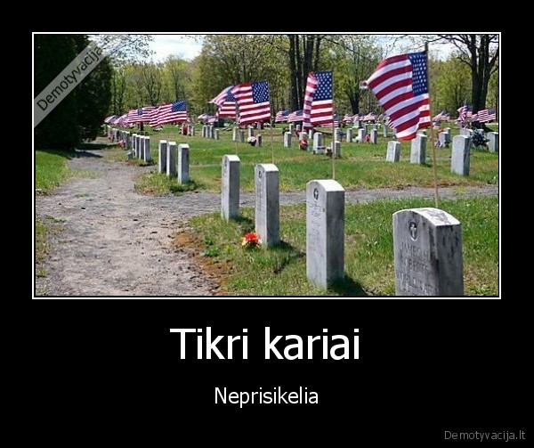 Tikri kariai