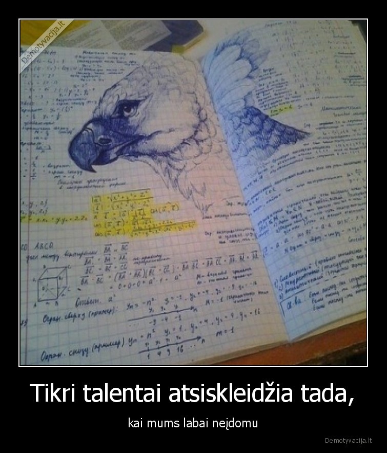 talentai,matematika,talentas
