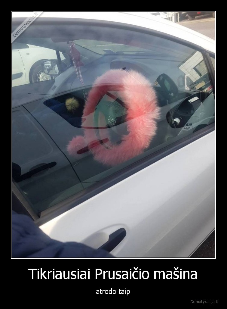 prusaitis,pigu,grazu,minksta,masina