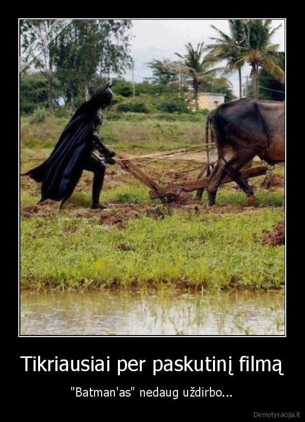 batman,dirba,zeme