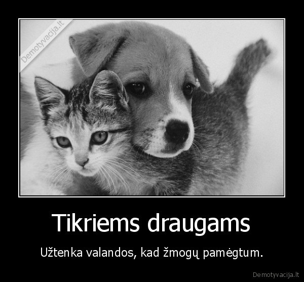 Tikriems draugams