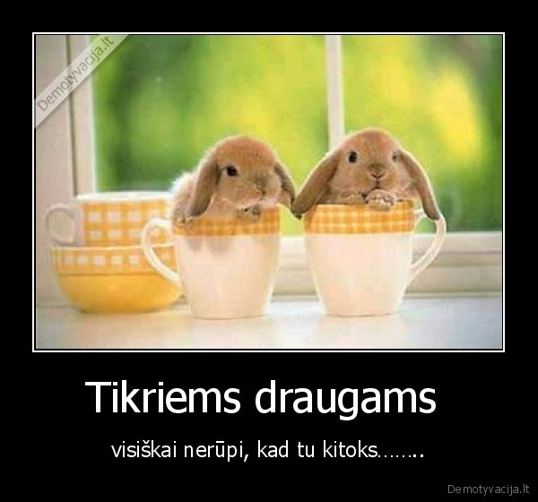 Tikriems draugams 