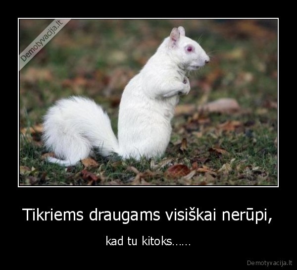 Tikriems draugams visiškai nerūpi,