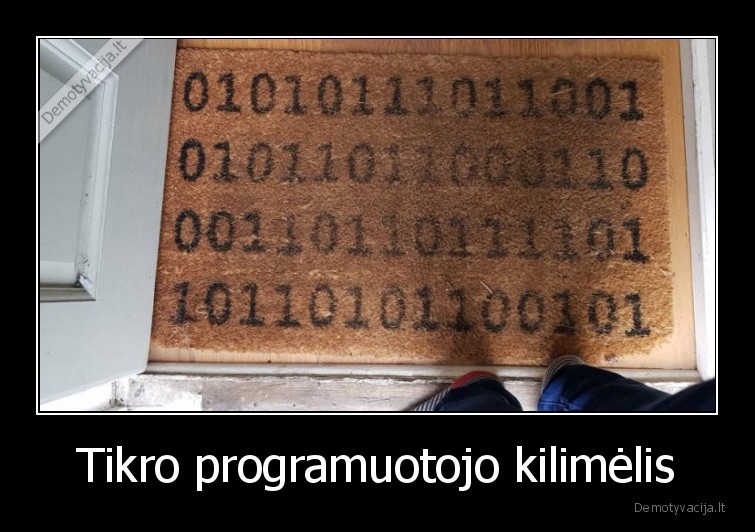 kilimelis,programuotojas,it