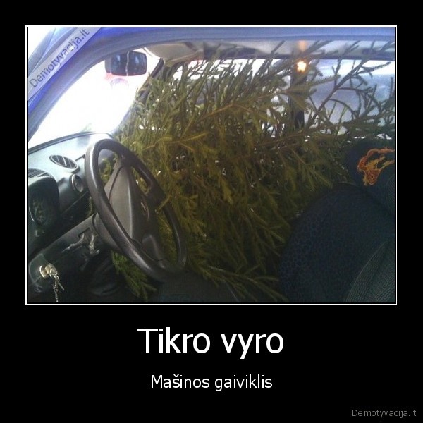 Tikro vyro