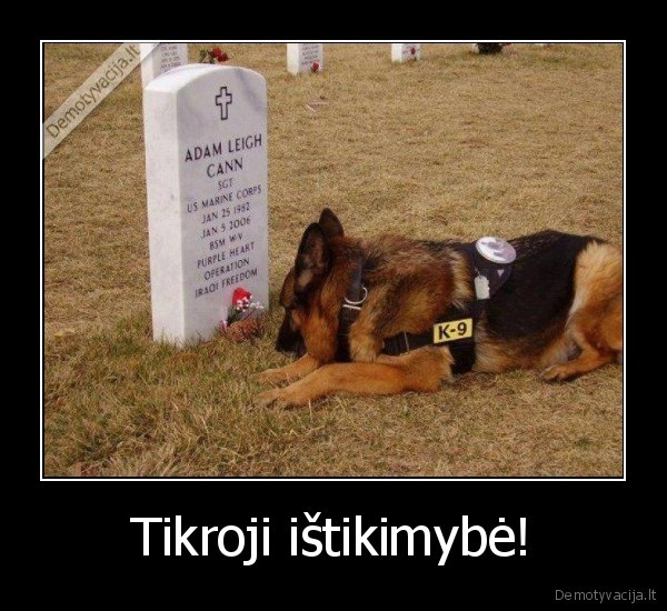 Tikroji ištikimybė!