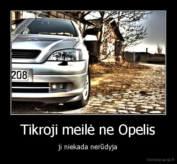 opelis,meile,rudyja