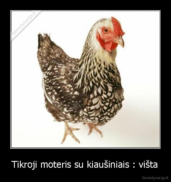Tikroji moteris su kiaušiniais : višta