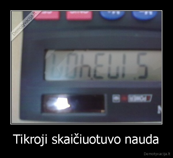 katinas, valgo, agurkus, su, kisielium