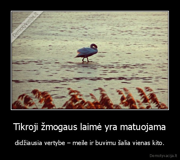 seima,meile,vertybes,laime,santykiai