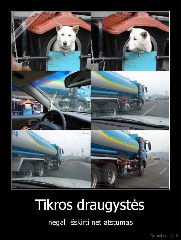 Tikros draugystės