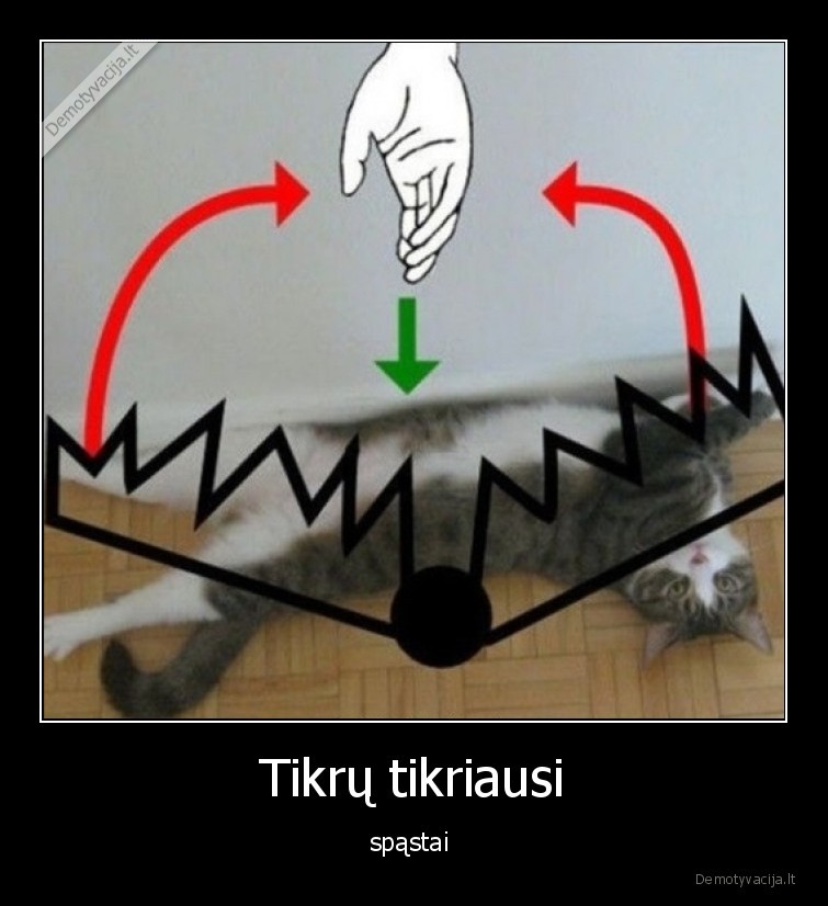 spastai,katinas,brezinys