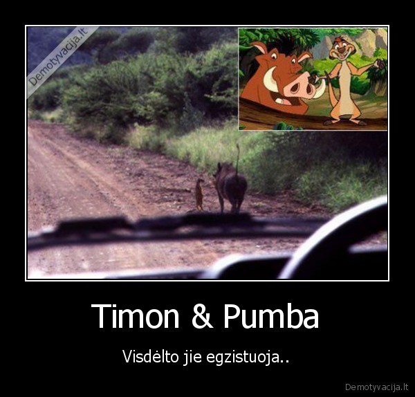 Timon &amp; Pumba