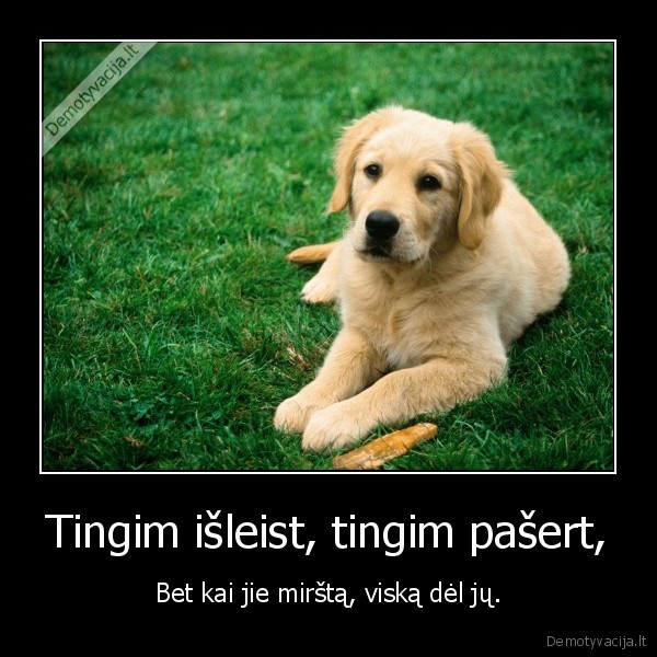 Tingim išleist, tingim pašert,