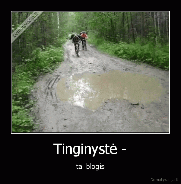 tinginyste