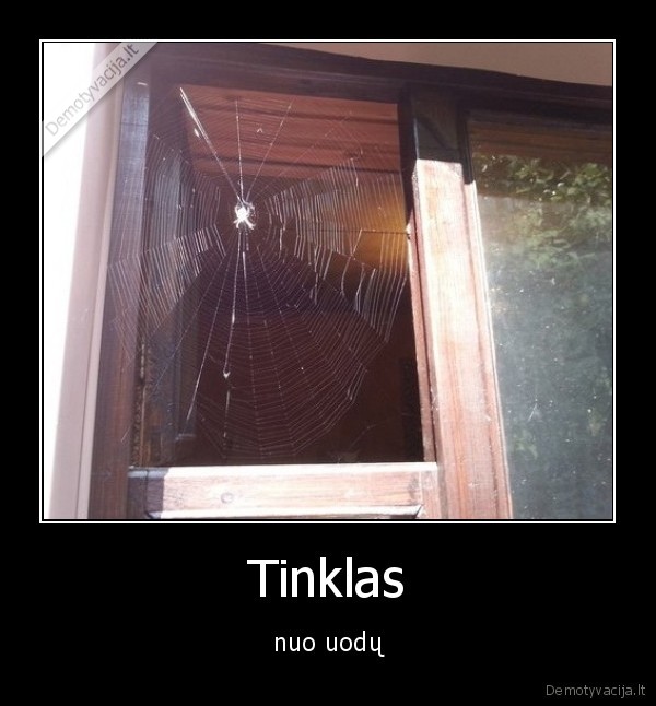 uodai,tinklas