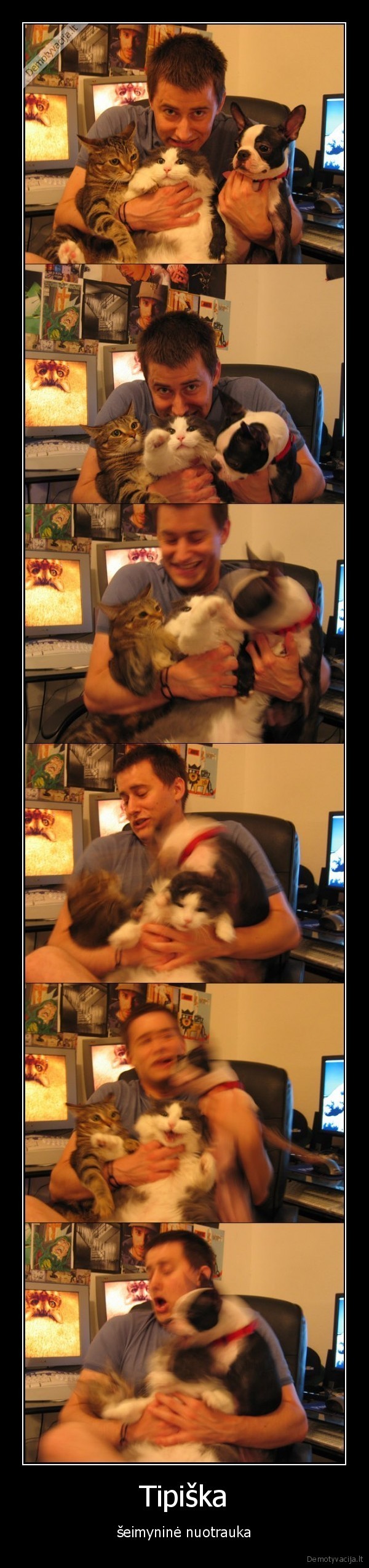 foto,gyvunai,mustynes