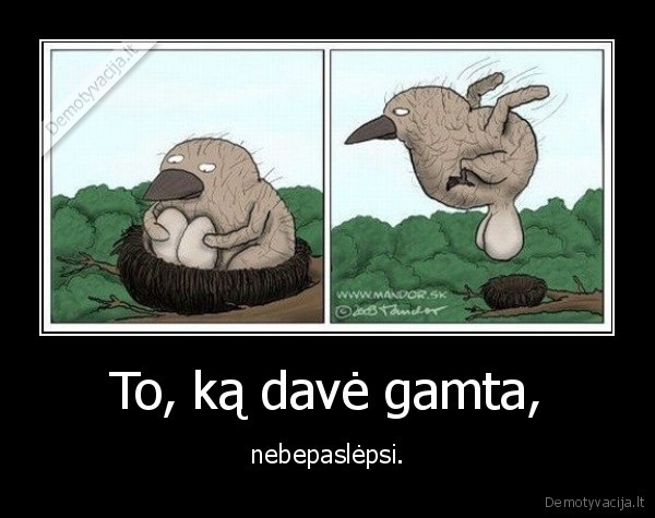 To, ką davė gamta,