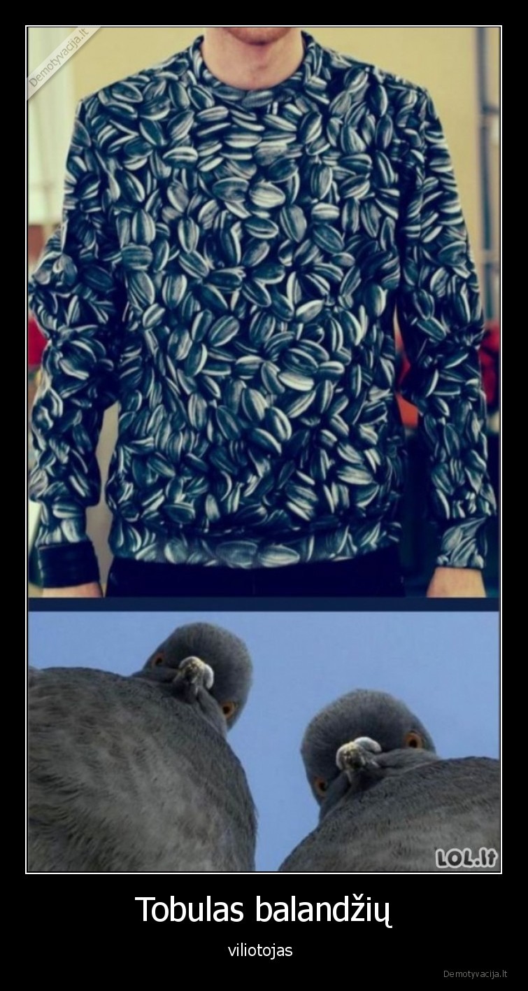 balandziai,viliotojas,saulegrazos