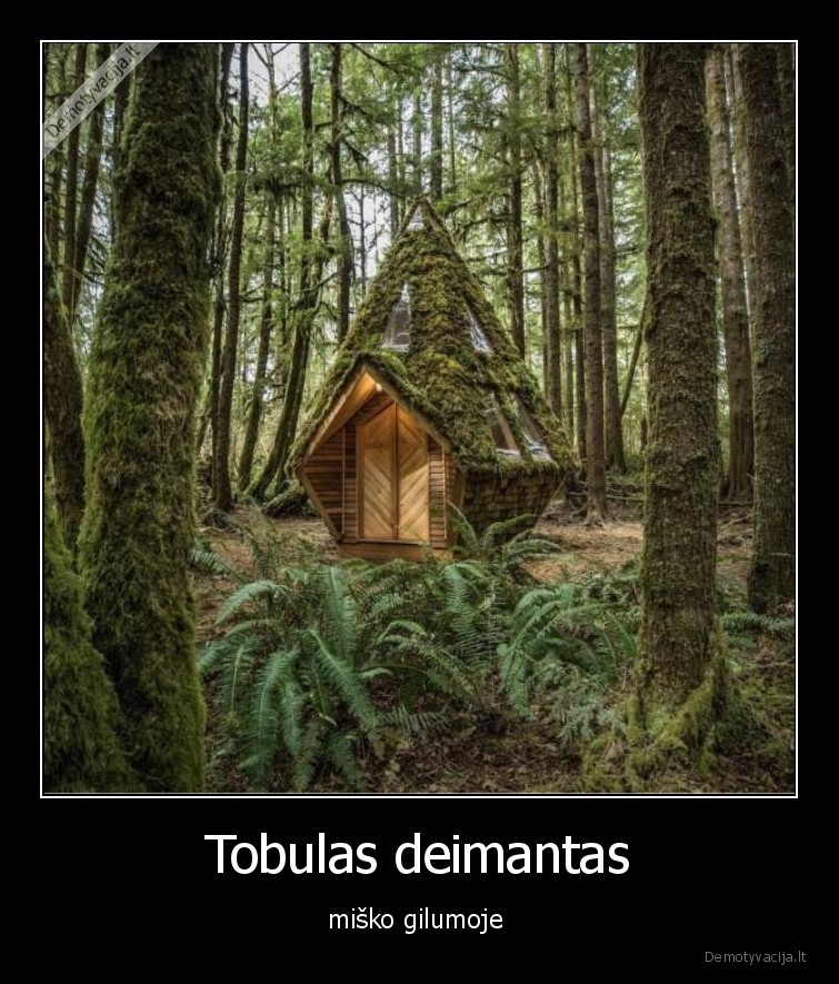 miskas,deimantas,namelis,namas