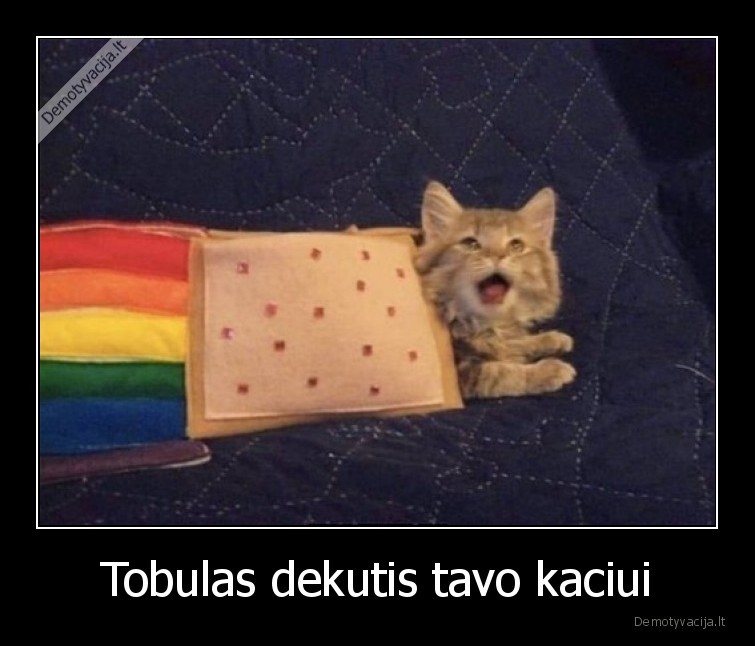 katinas,dekutis,nyan, cat
