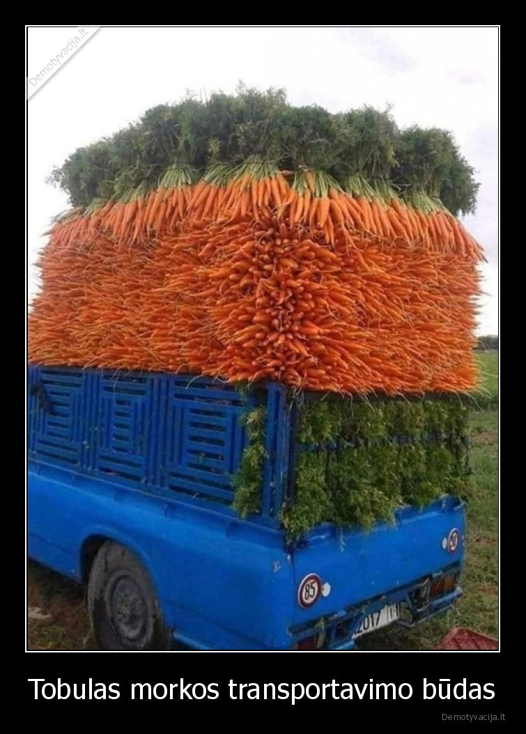 morka,transportavimas,tobula
