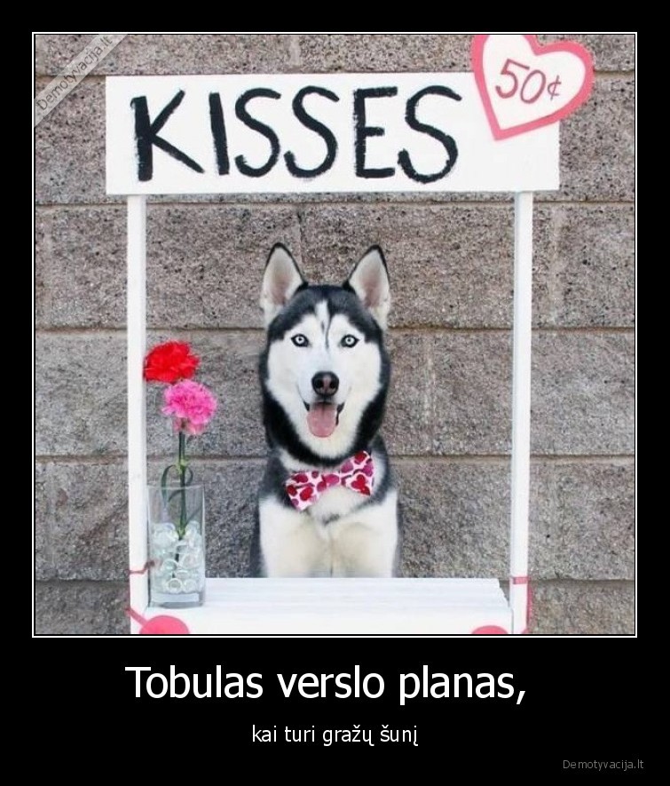 verslo,planas,suo,buciniai