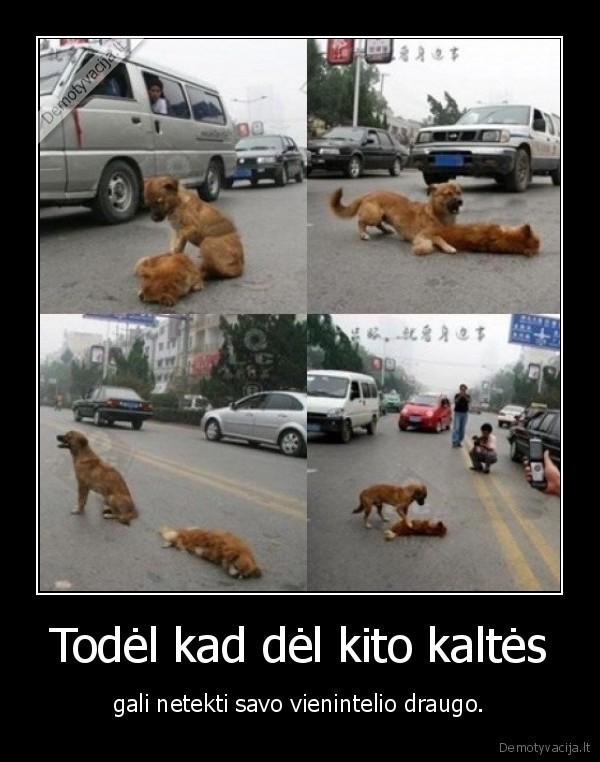 Todėl kad dėl kito kaltės