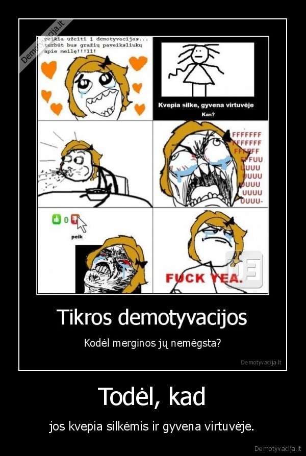 silke,virtuve,moteris