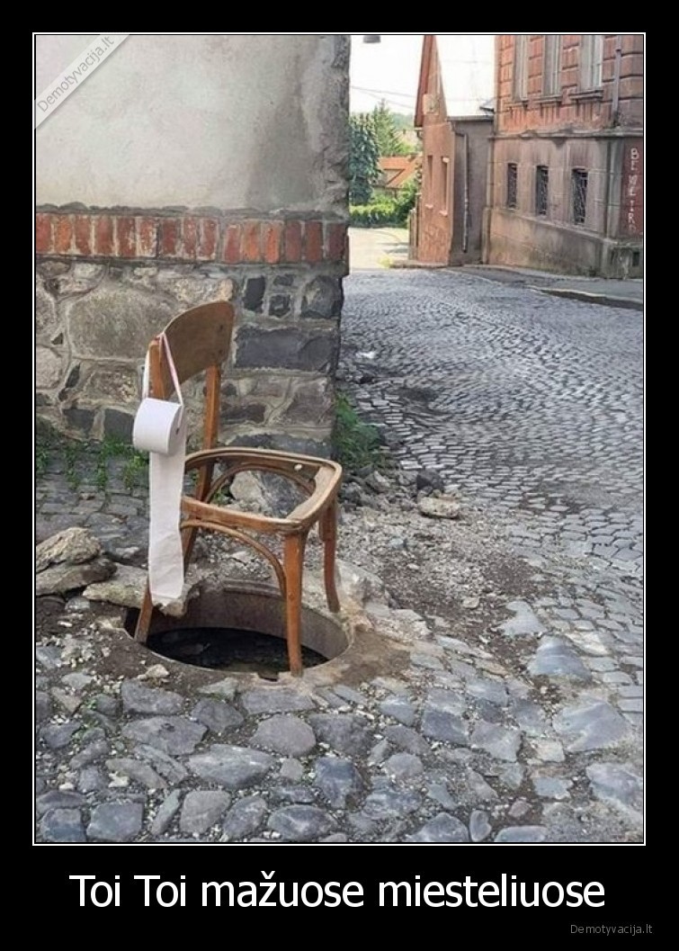 toi, toi,tualetas,viesasis