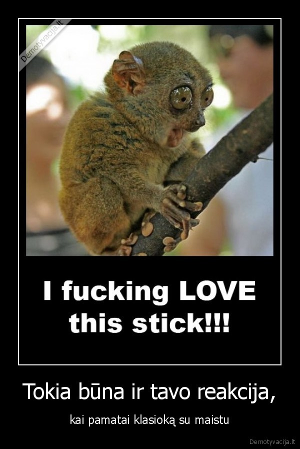 tokia,buna,ir,tavo,reakcija,kai,pamatai,klasioka,su,maistu