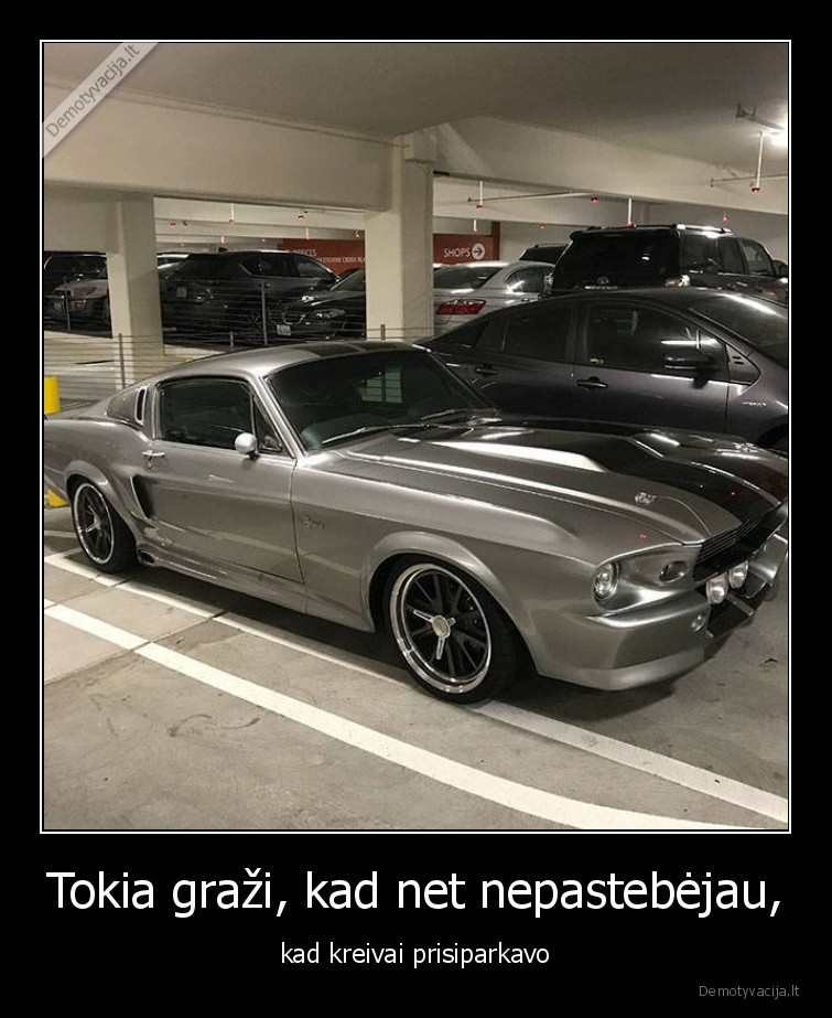 masina,parkuote,parkuotis