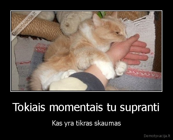 Tokiais momentais tu supranti
