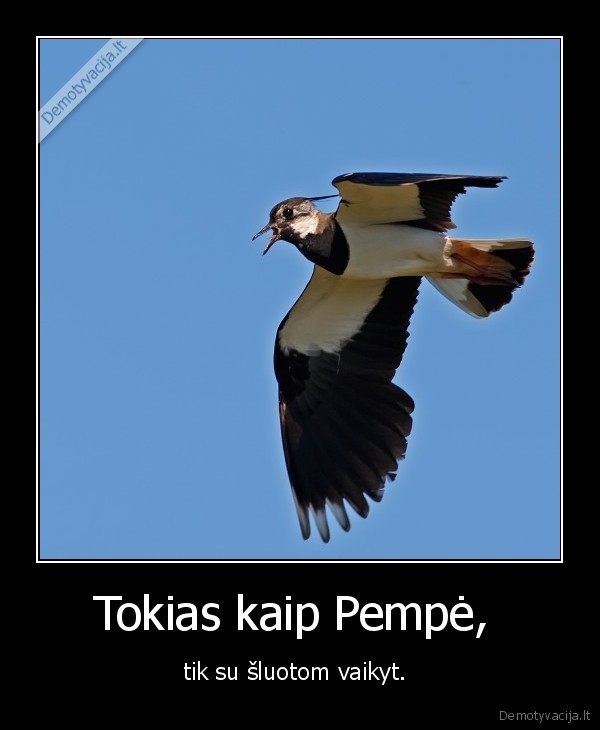 Tokias kaip Pempė, 