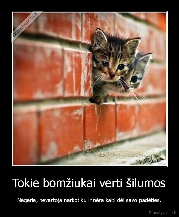 Tokie bomžiukai verti šilumos