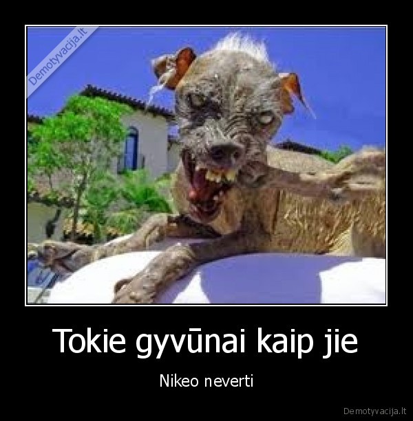 Tokie gyvūnai kaip jie