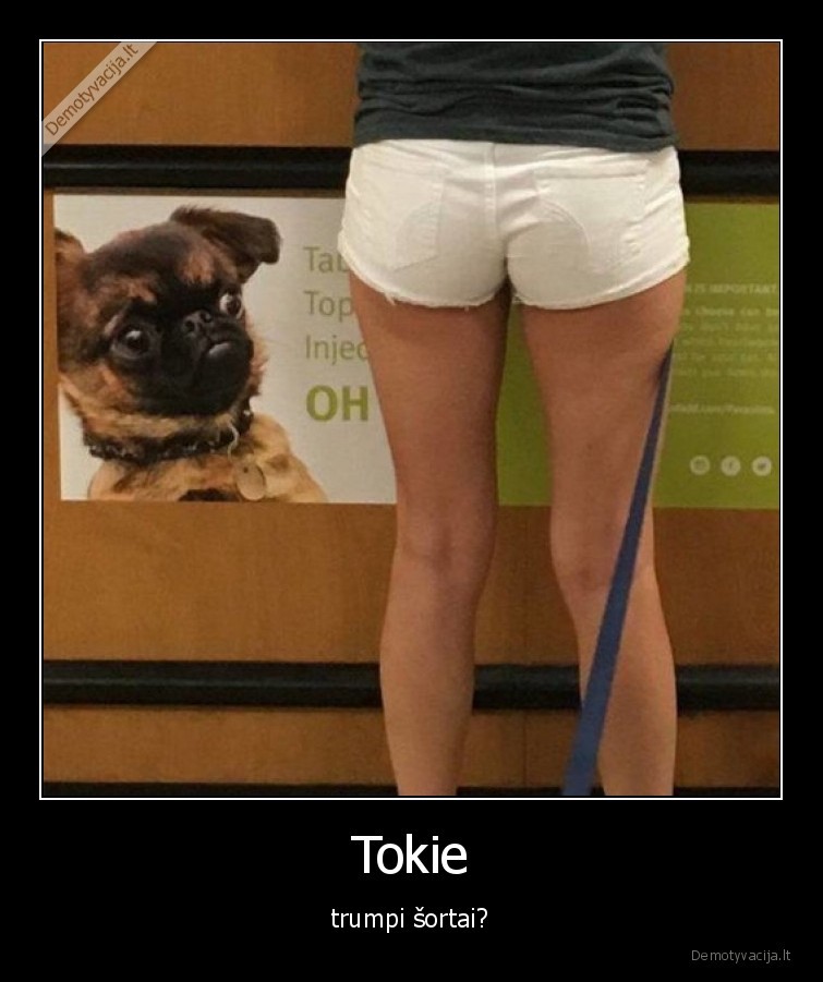 trumpi,sortai,mopsas,mergina