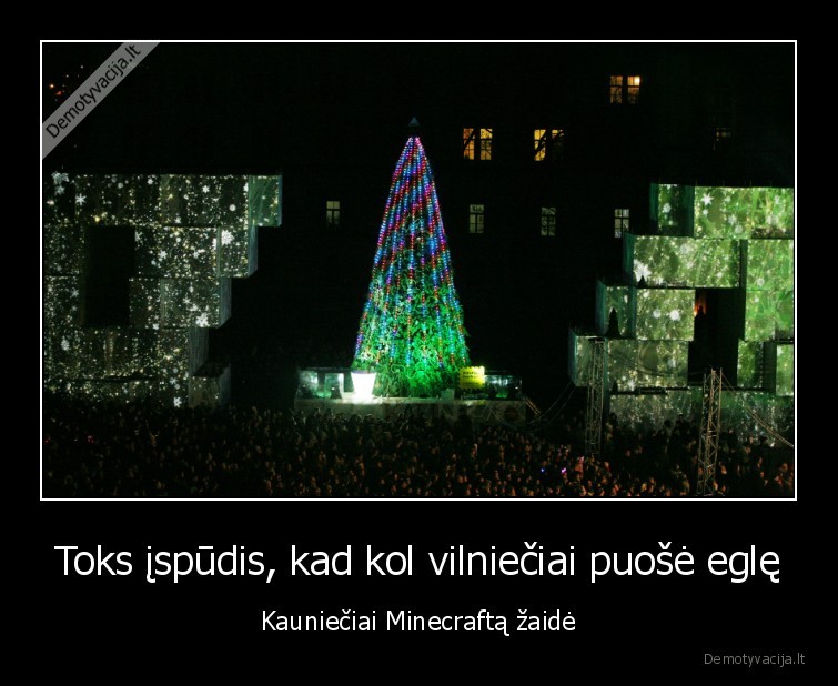 minecraft,kubai,kauno, egle, 2017