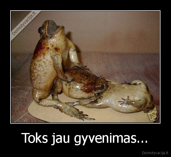 Toks jau gyvenimas...