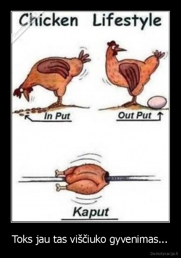 Toks jau tas viščiuko gyvenimas...