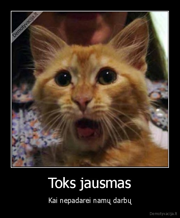 nu, nx, nepadariau, namu, darbu