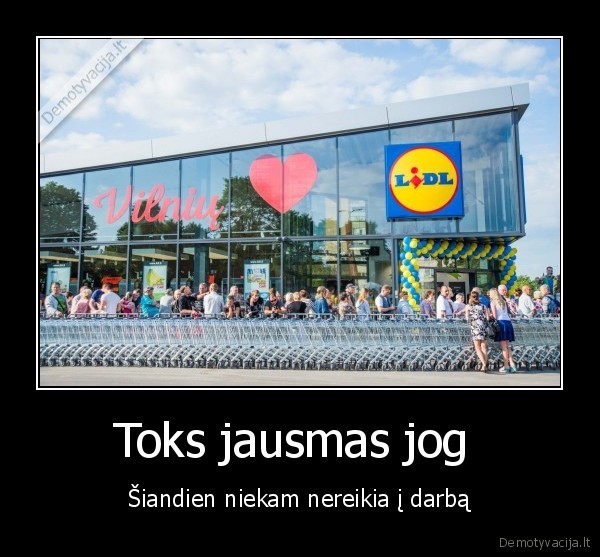 darbas,svente,lidl,juokinga
