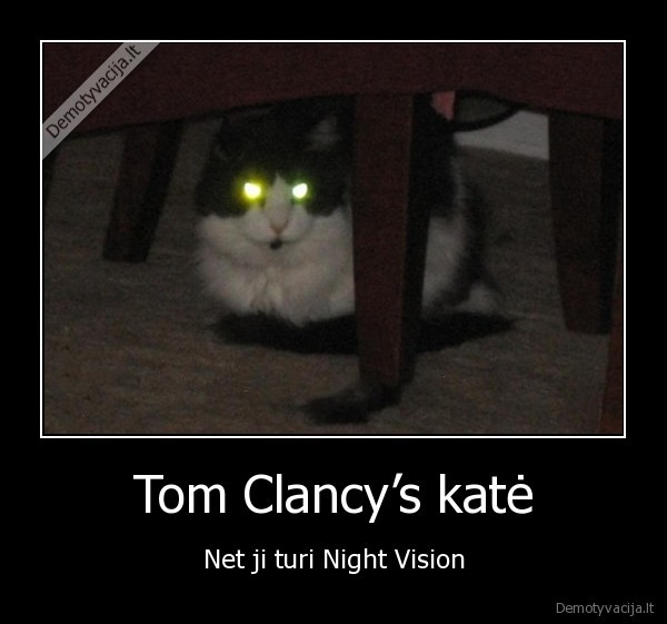 Tom Clancy’s katė