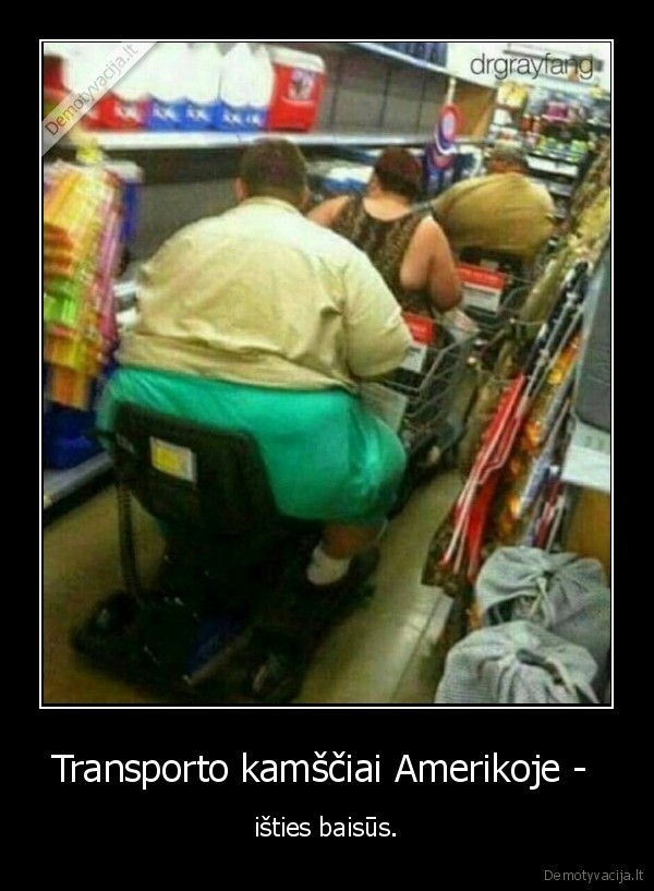 transportas,kamstis,amerika,stori