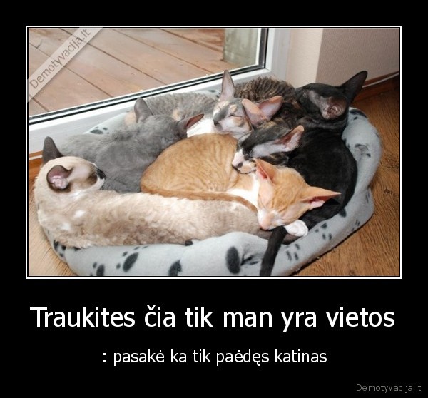 Traukites čia tik man yra vietos